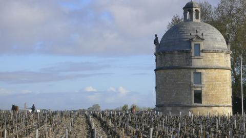 A Tower of Power: At first glance, the wines of Château Latour look stupendous in this vintage. Les Forts de Latour, not really a second wine because it has its own vineyards, is the equal of a good cru classé. With 90.5% cabernet sauvignon and at 14.4% alcohol, Château Latour itself is locked in a vice-like grip of iron and should emerge from its shell in about 20 years time. Note the horses in the vineyard.